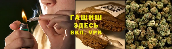 индика Заводоуковск