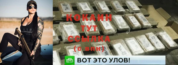 индика Заводоуковск