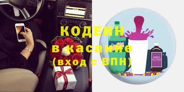 индика Заводоуковск