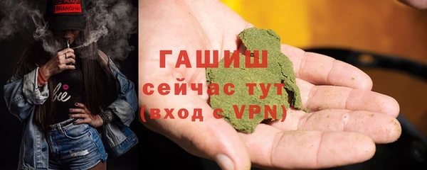 индика Заводоуковск