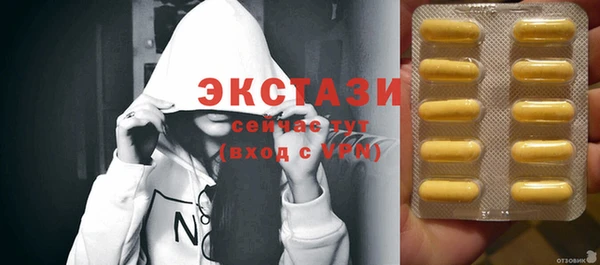 индика Заводоуковск