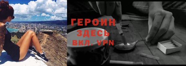 индика Заводоуковск