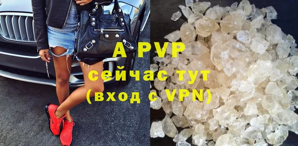 индика Заводоуковск