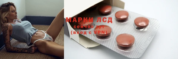 амф Заволжье