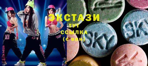индика Заводоуковск