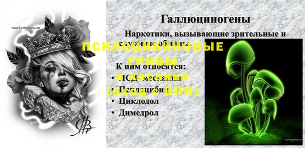 индика Заводоуковск