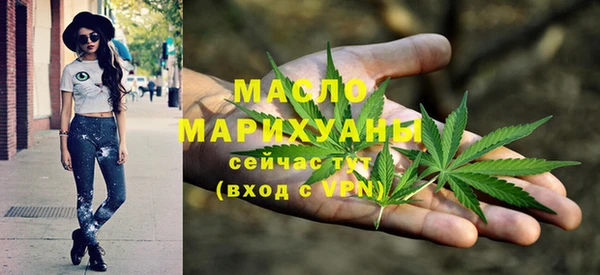индика Заводоуковск