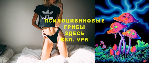 индика Заводоуковск